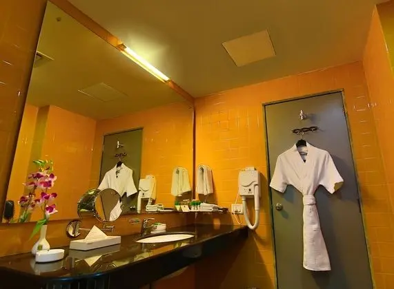 Deluxe Tek Büyük Yataklı Oda, Sigara İçilebilir, Şehir Manzaralı