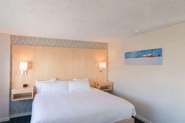Luxury Stüdyo Süit, 1 En Büyük (King) Boy Yatak ve Çekyat