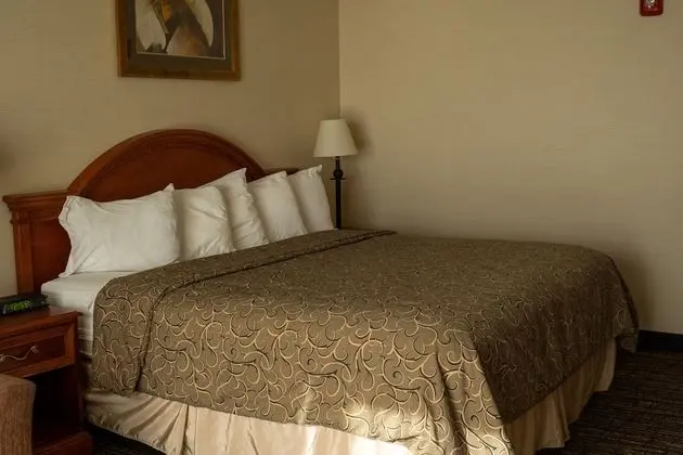 Standard Oda, 1 En Büyük (King) Boy Yatak