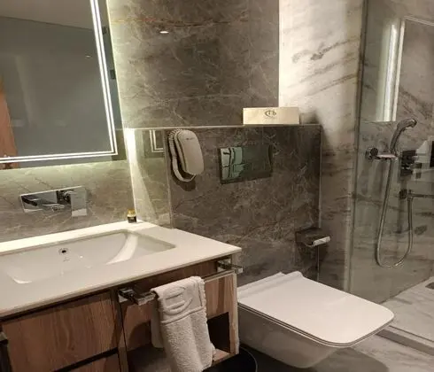 Çatı Katı Süiti (Penthouse)