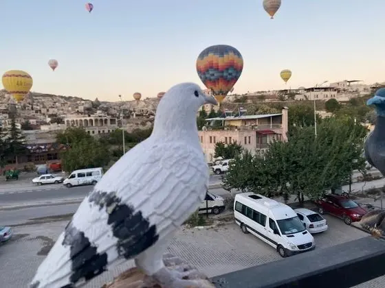 Standard Tek Büyük Yataklı Oda, Şehir Manzaralı