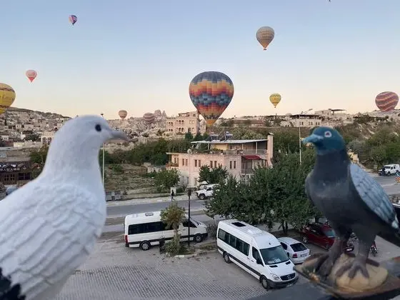 Standard Tek Büyük Yataklı Oda, Şehir Manzaralı