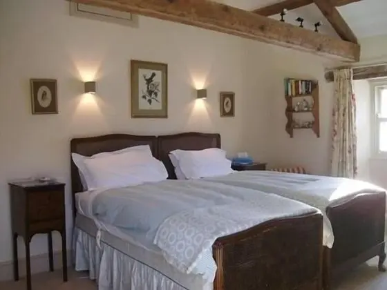 Tek Büyük Yataklı Oda, Banyolu/Duşlu (King size)