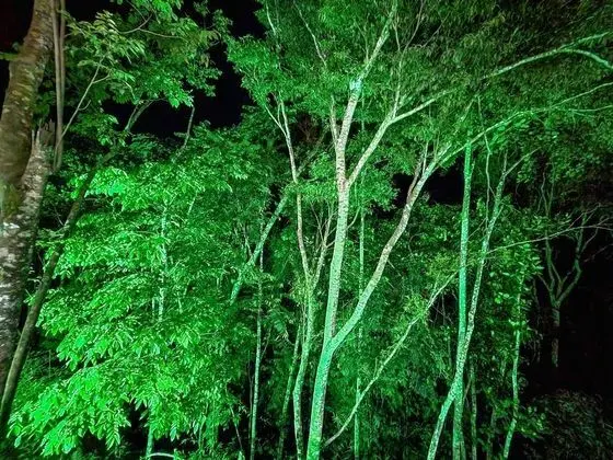 Superior İki Ayrı Yataklı Oda