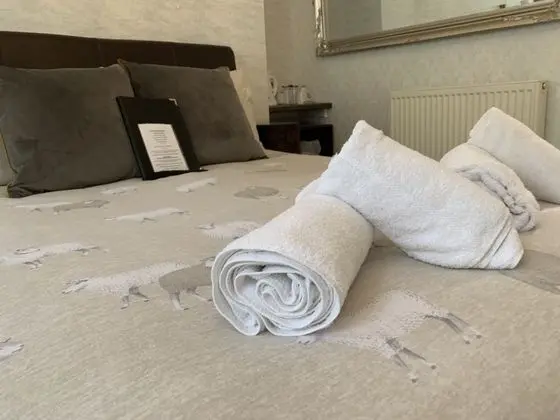 Deluxe Tek Büyük Yataklı Oda, Küvet (Room 5 A)