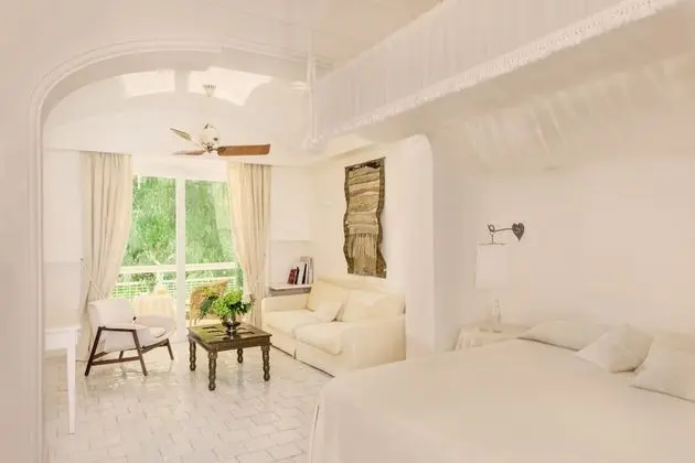 Deluxe Tek Büyük Yataklı Oda (Garden Side)