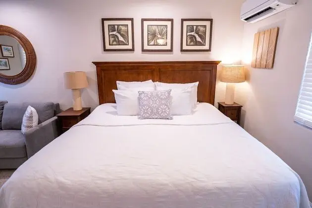 Premium Stüdyo Süit, 1 En Büyük (King) Boy Yatak ve Çekyat (Unit 105)