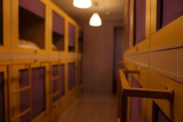 Ortak Ranzalı Oda (Bed in 18-Bed Mixed Purple Dormitory)