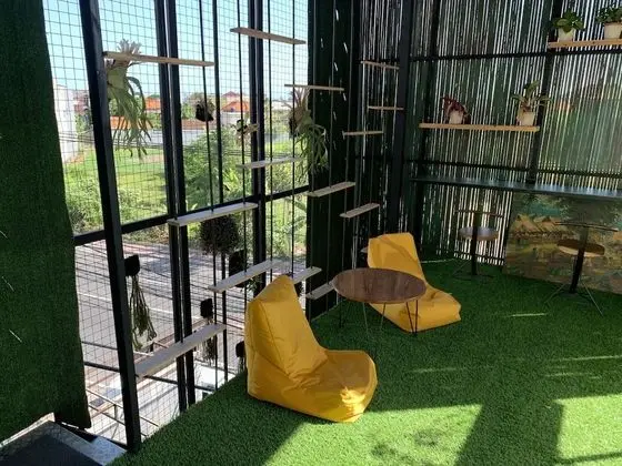 Basic Ortak Ranzalı Oda, Sadece kadınlar için, Sigara İçilmez