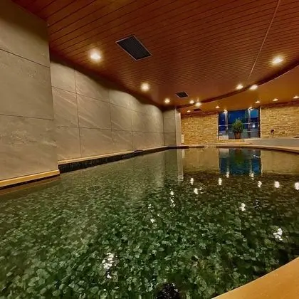 Twin Room, 4 PM check in, Men Only (With Spa Option, Tattoo may not be permitted. Pay at the hotel.)