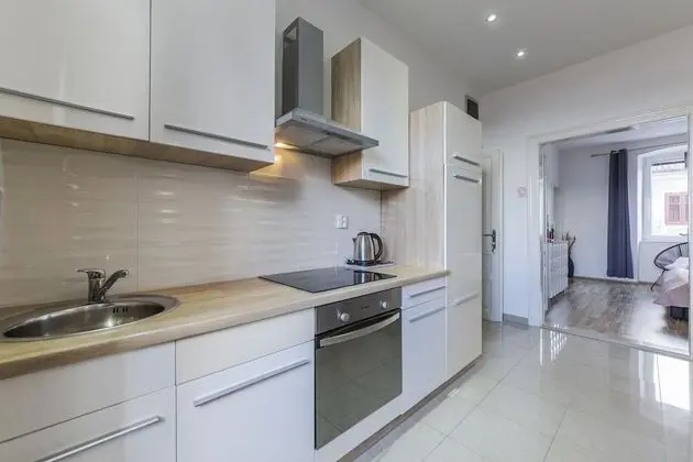 Exclusive Apartment (3)