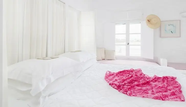 Süit (Rose)