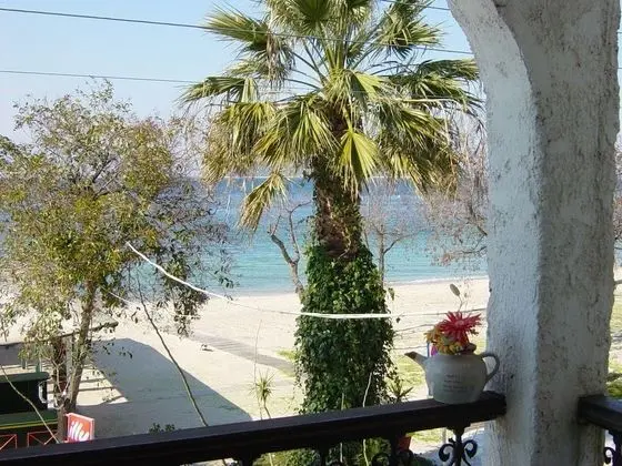 Superior Studio, Sea View