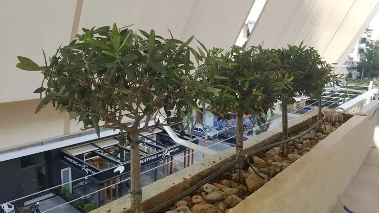 Luxury Apart Daire, 2 Yatak Odası, 2 Banyolu