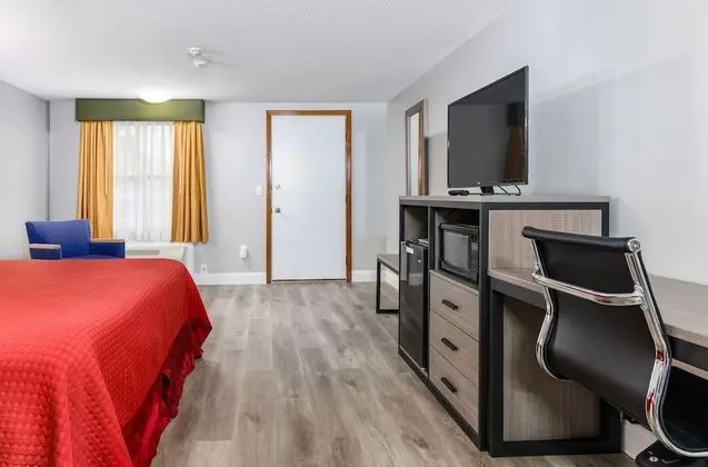 Deluxe Tek Büyük Yataklı Oda, 2 Çift Kişilik Yatak, Sigara İçilmez