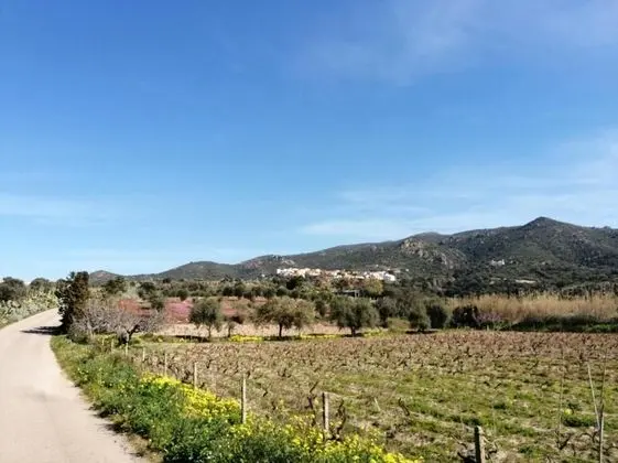 Apart Daire, 2 Büyük (Queen) Boy Yatak