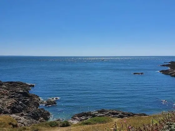 Kır Evi, 2 Büyük (Queen) Boy Yatak