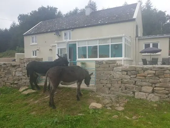 Ev, Birden Çok Yatak