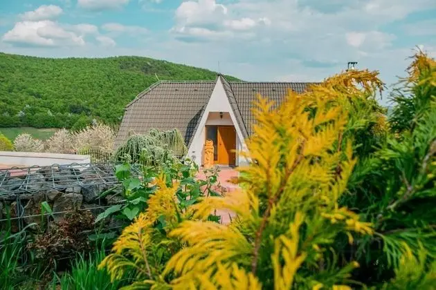 Kır Evi, Birden Çok Yatak