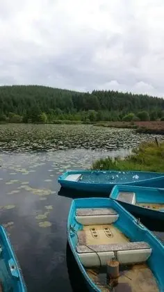 Apart Daire, Birden Çok Yatak