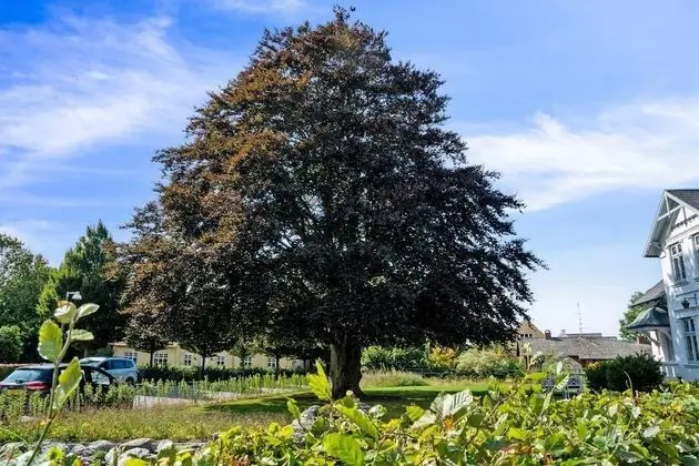 Villa, Birden Çok Yatak