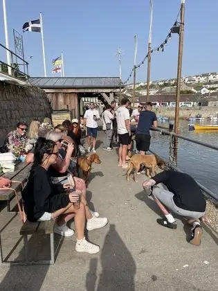 Ev, Birden Çok Yatak
