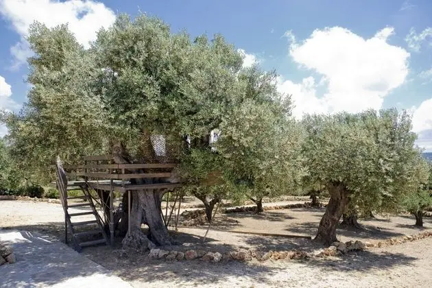 Villa, Birden Çok Yatak