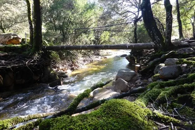 Apart Daire, 1 Büyük (Queen) Boy Yatak