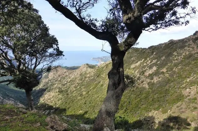 Apart Daire, 1 Büyük (Queen) Boy Yatak