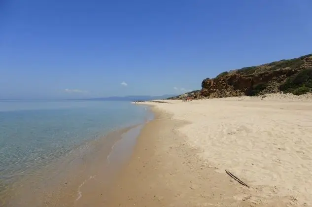 Apart Daire, 1 Büyük (Queen) Boy Yatak