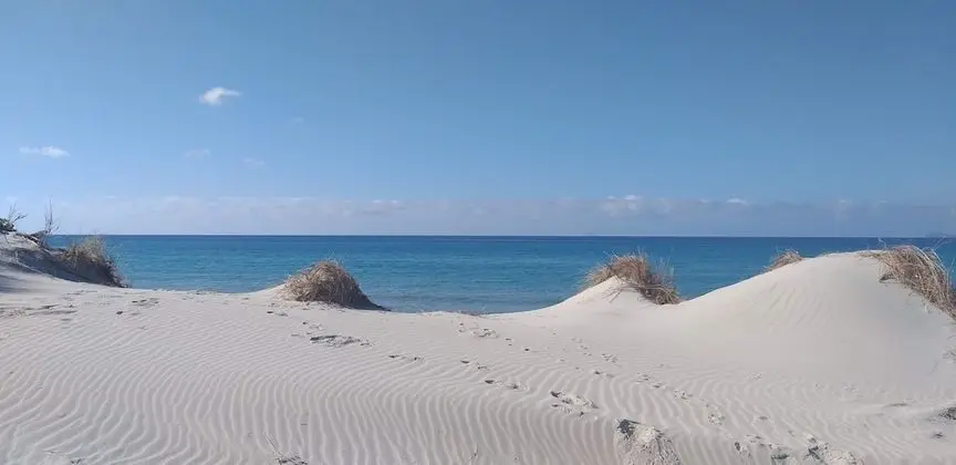 Apart Daire, 1 Büyük (Queen) Boy Yatak