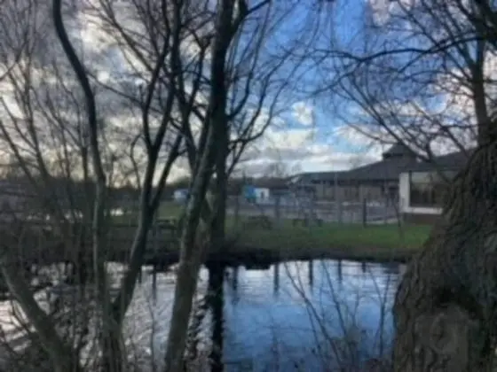 Kulübe, Birden Çok Yatak
