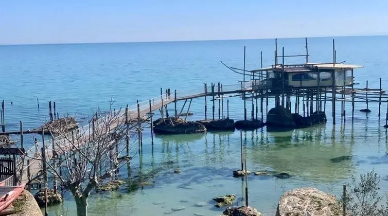 Ev, 1 En Büyük (King) Boy Yatak ve Çekyat