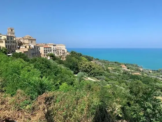 Ev, 1 En Büyük (King) Boy Yatak ve Çekyat