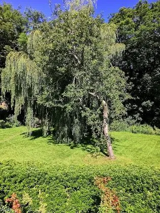 Kır Evi, 1 Büyük (Queen) Boy Yatak ve Çekyat