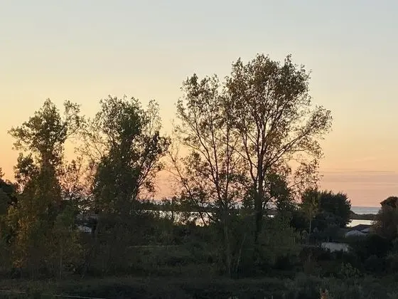 Stüdyo, 2 Tek Kişilik Yatak