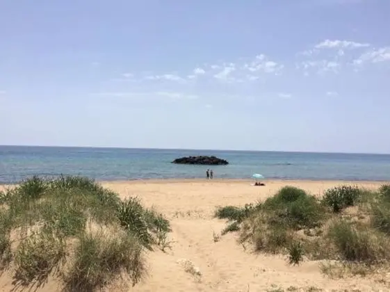 Stüdyo, 2 Tek Kişilik Yatak