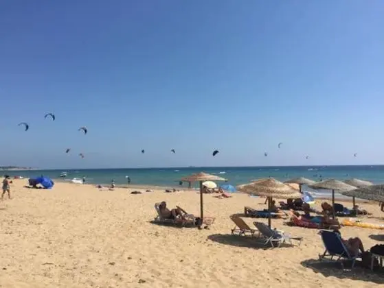 Stüdyo, 2 Tek Kişilik Yatak