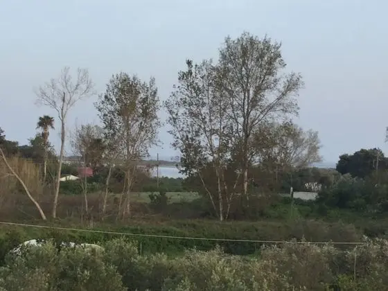 Stüdyo, 2 Tek Kişilik Yatak