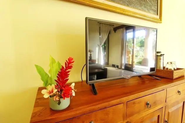 Villa, 1 Yatak Odası