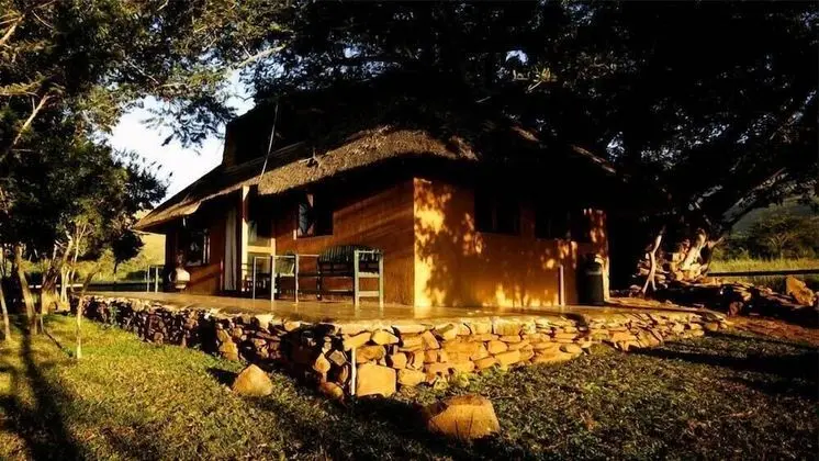 Deluxe Bungalov, 1 Yatak Odası (Figtree Lodge)