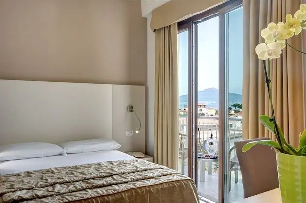 Tek Büyük Yataklı Oda (Flexible Room)