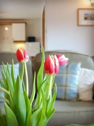 Exclusive Kır Evi, 2 Yatak Odası (The Cart House)