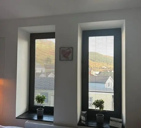 Standard Tek Büyük Yataklı Oda, 1 Çift Kişilik Yatak