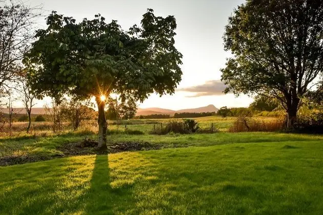Kır Evi (Hawthorn)