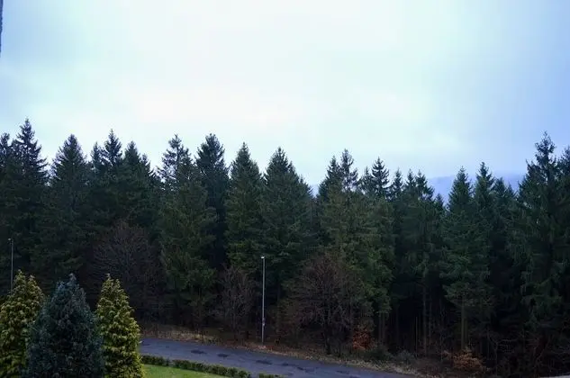 Comfort Tek Büyük veya İki Ayrı Yataklı Oda, Balkon