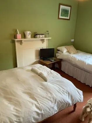 Standard Üç Kişilik Oda, Banyolu/Duşlu (Room 1)