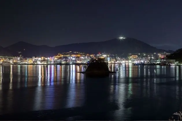 Deluxe Tek Büyük Yataklı Oda, 1 Büyük (Queen) Boy Yatak (Extra person fee 10000 KRW upon C/I)