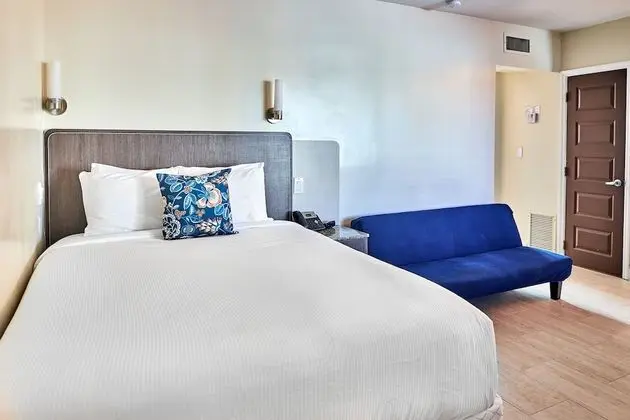 King Studio Pool: 1 King Bed