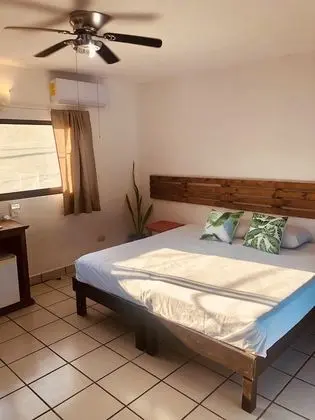 Superior Tek Büyük veya İki Ayrı Yataklı Oda